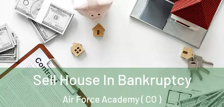  Sell House In Bankruptcy Air Force Academy ( CO )
