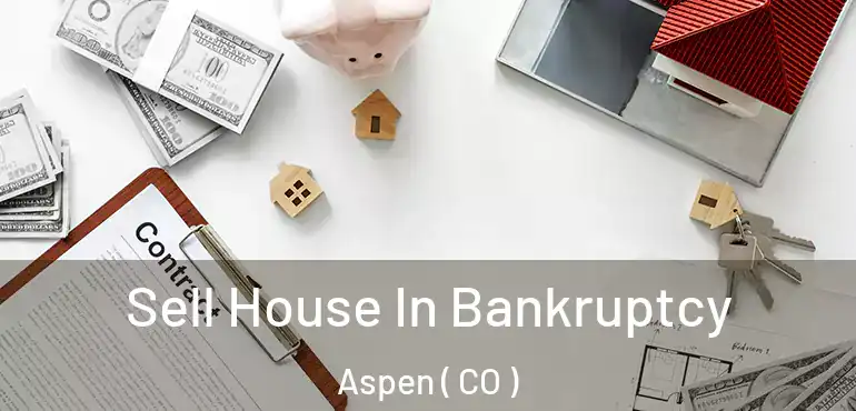  Sell House In Bankruptcy Aspen ( CO )