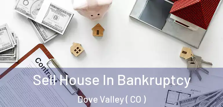 Sell House In Bankruptcy Dove Valley ( CO )