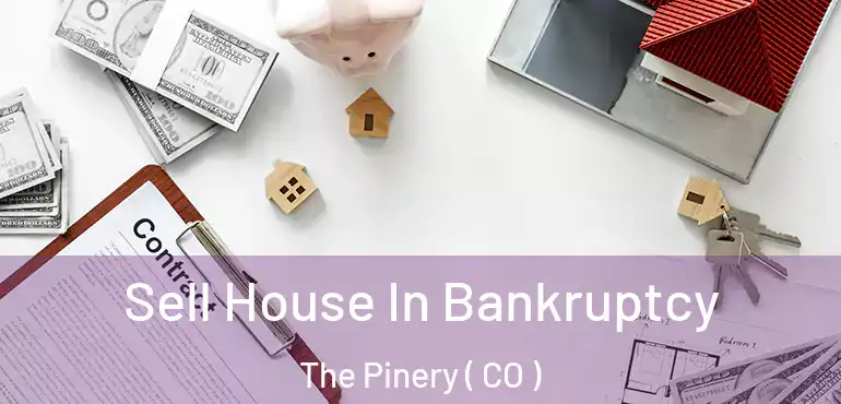 Sell House In Bankruptcy The Pinery ( CO )