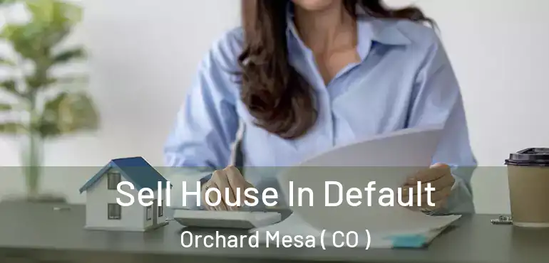  Sell House In Default Orchard Mesa ( CO )