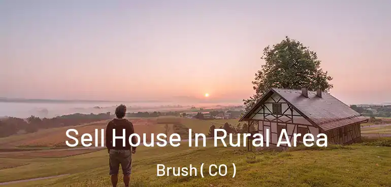  Sell House In Rural Area Brush ( CO )