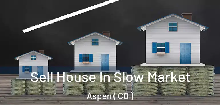  Sell House In Slow Market Aspen ( CO )