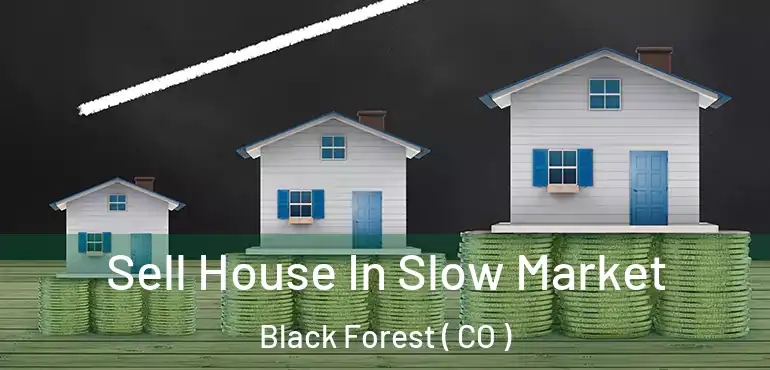  Sell House In Slow Market Black Forest ( CO )