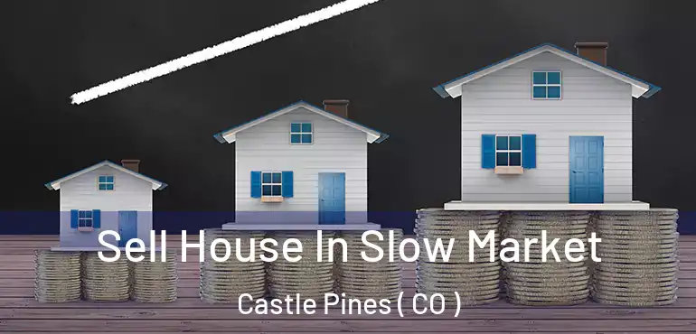  Sell House In Slow Market Castle Pines ( CO )