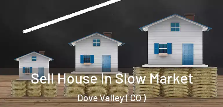 Sell House In Slow Market Dove Valley ( CO )