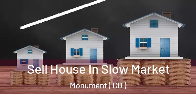  Sell House In Slow Market Monument ( CO )
