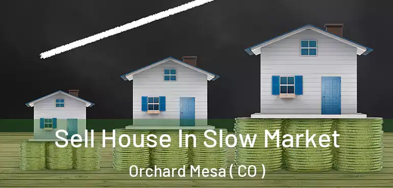  Sell House In Slow Market Orchard Mesa ( CO )