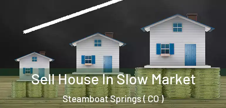  Sell House In Slow Market Steamboat Springs ( CO )