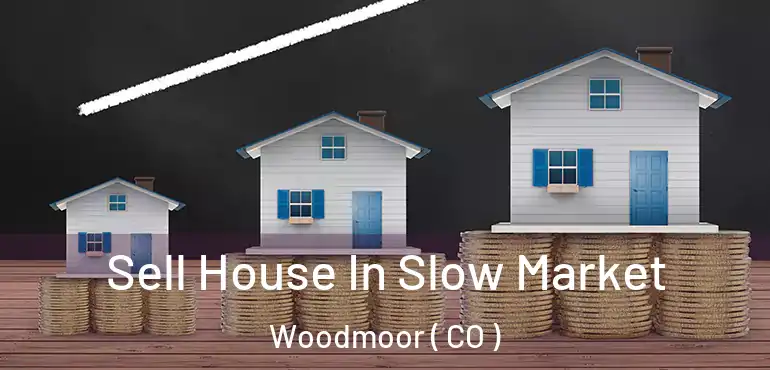  Sell House In Slow Market Woodmoor ( CO )