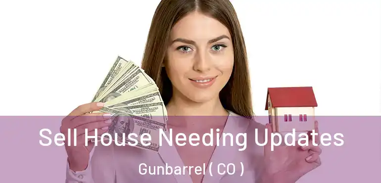  Sell House Needing Updates Gunbarrel ( CO )
