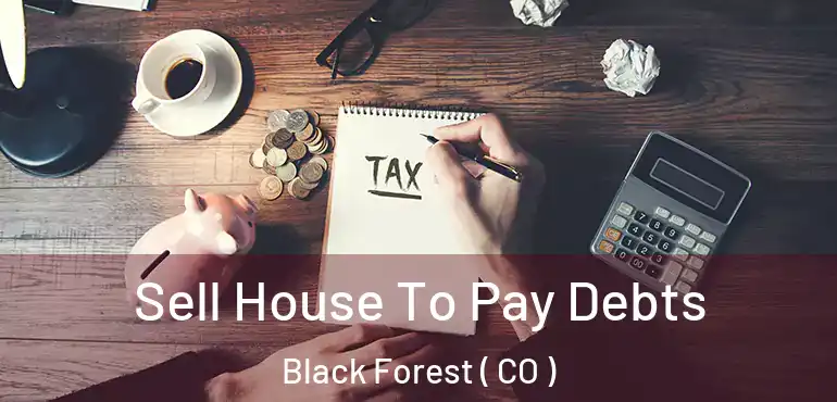 Sell House To Pay Debts Black Forest ( CO )