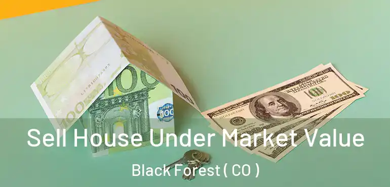  Sell House Under Market Value Black Forest ( CO )