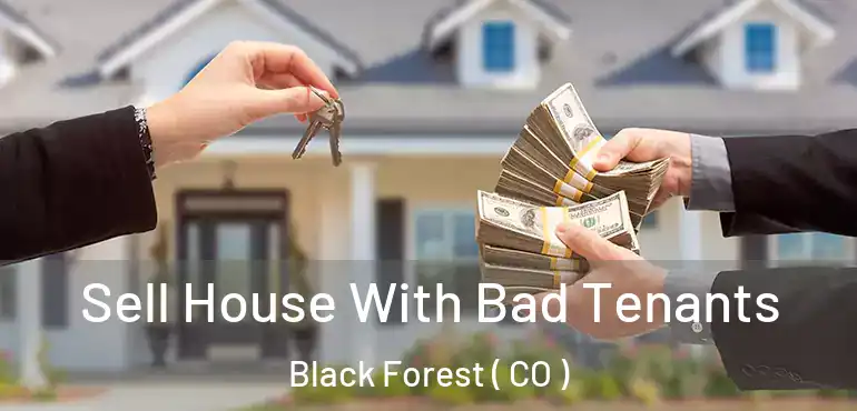  Sell House With Bad Tenants Black Forest ( CO )