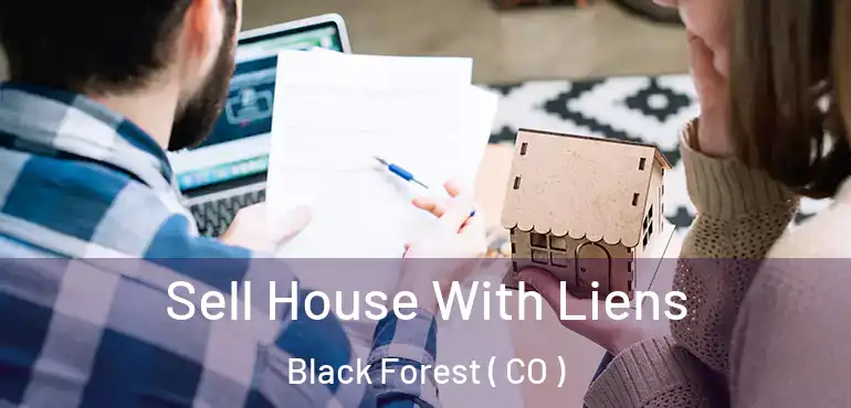  Sell House With Liens Black Forest ( CO )