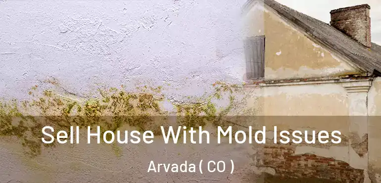  Sell House With Mold Issues Arvada ( CO )