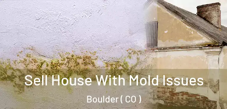 Sell House With Mold Issues Boulder ( CO )