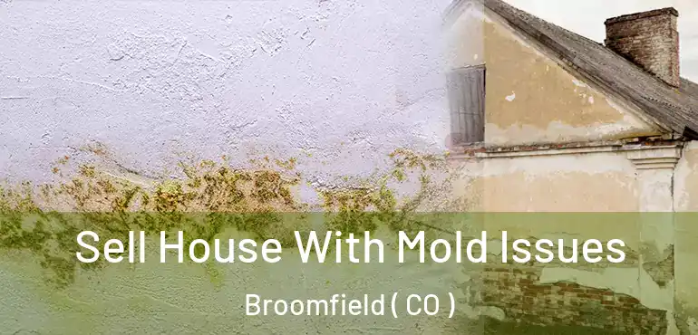 Sell House With Mold Issues Broomfield ( CO )