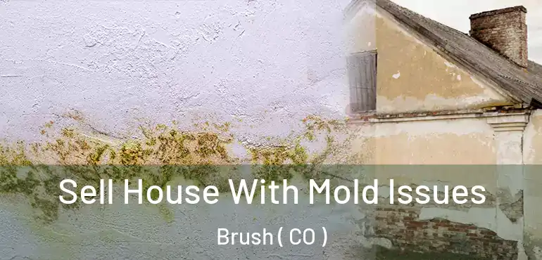  Sell House With Mold Issues Brush ( CO )