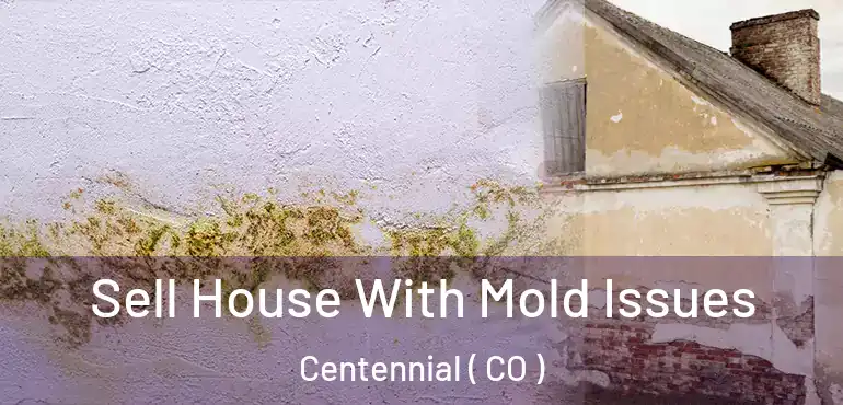  Sell House With Mold Issues Centennial ( CO )
