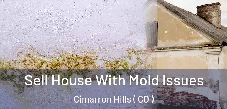  Sell House With Mold Issues Cimarron Hills ( CO )