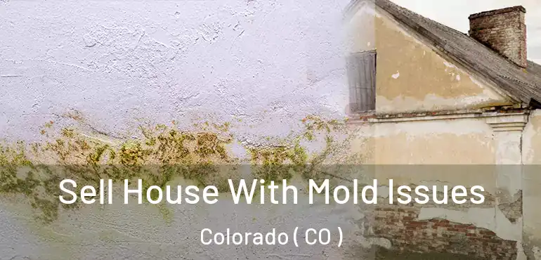  Sell House With Mold Issues Colorado ( CO )