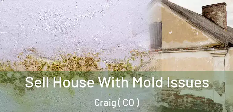 Sell House With Mold Issues Craig ( CO )