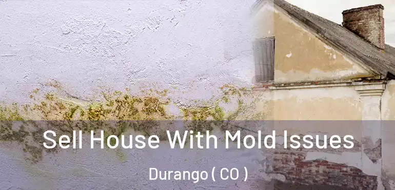 Sell House With Mold Issues Durango ( CO )