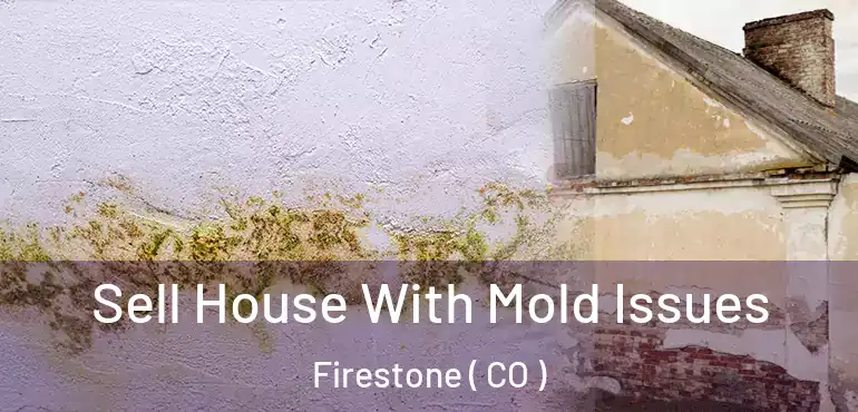  Sell House With Mold Issues Firestone ( CO )