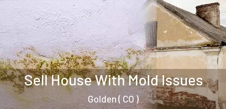  Sell House With Mold Issues Golden ( CO )