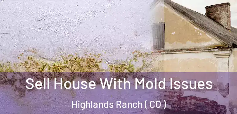  Sell House With Mold Issues Highlands Ranch ( CO )