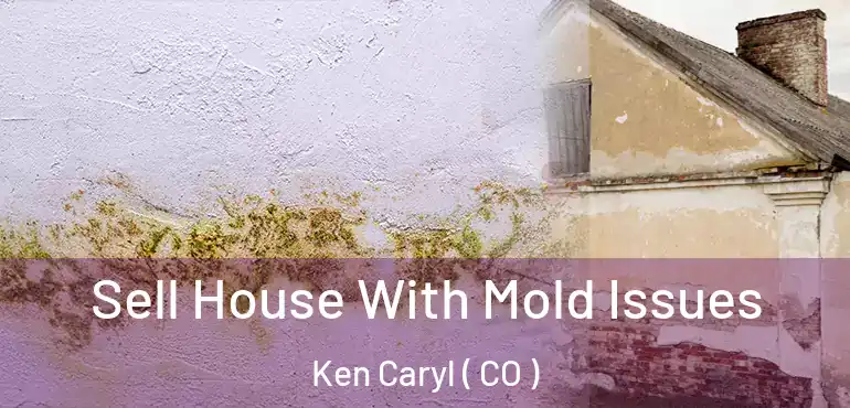  Sell House With Mold Issues Ken Caryl ( CO )