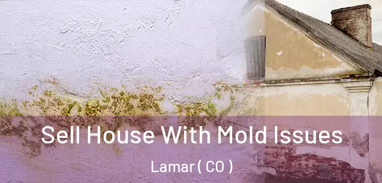  Sell House With Mold Issues Lamar ( CO )