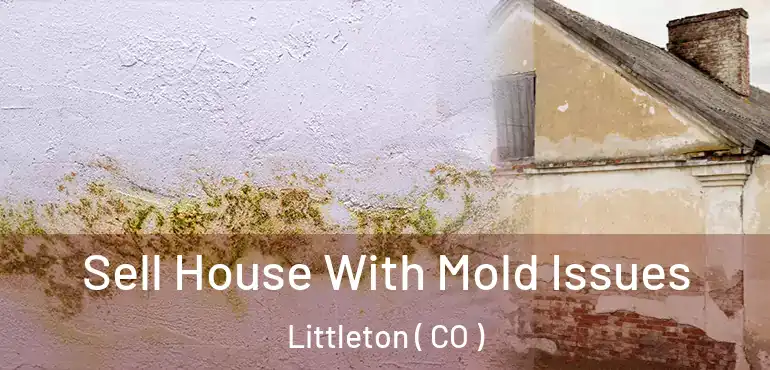  Sell House With Mold Issues Littleton ( CO )