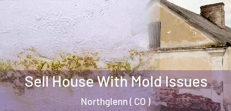  Sell House With Mold Issues Northglenn ( CO )