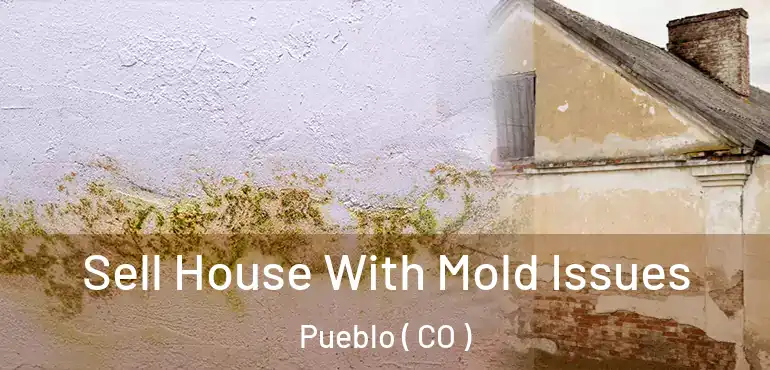 Sell House With Mold Issues Pueblo ( CO )