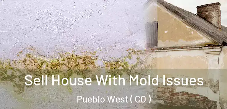 Sell House With Mold Issues Pueblo West ( CO )