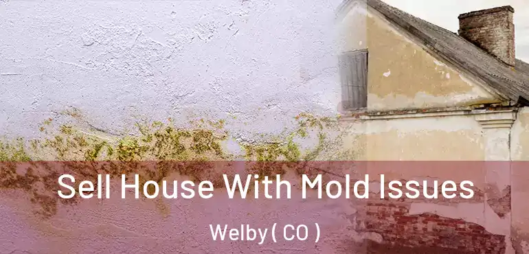  Sell House With Mold Issues Welby ( CO )