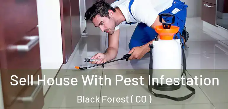  Sell House With Pest Infestation Black Forest ( CO )