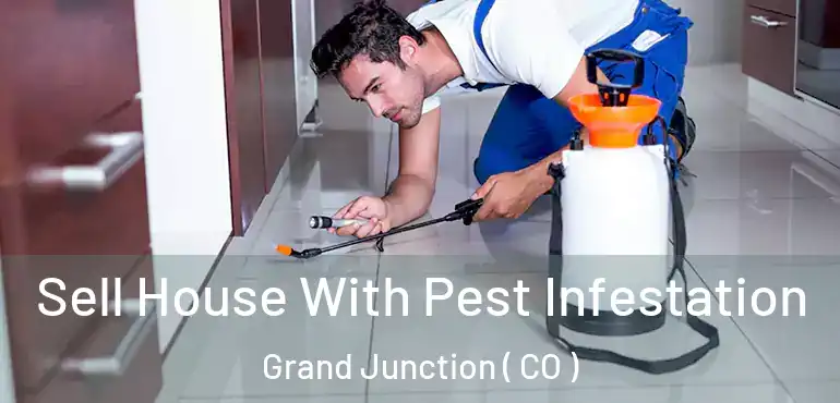  Sell House With Pest Infestation Grand Junction ( CO )