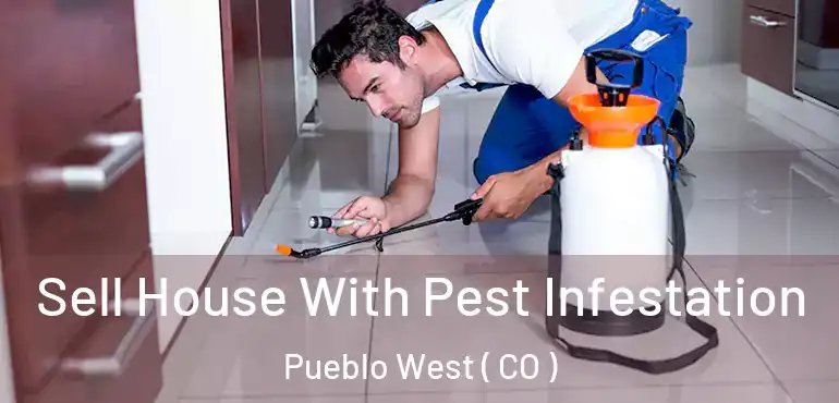 Sell House With Pest Infestation Pueblo West ( CO )