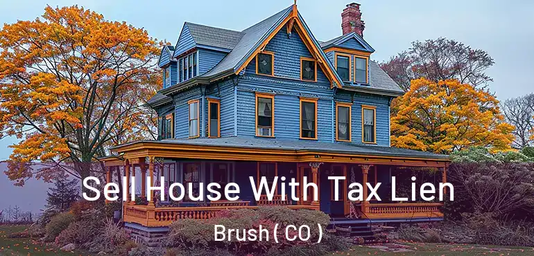  Sell House With Tax Lien Brush ( CO )