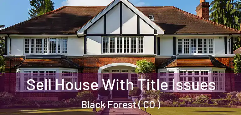  Sell House With Title Issues Black Forest ( CO )