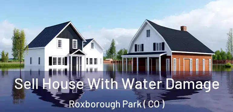  Sell House With Water Damage Roxborough Park ( CO )