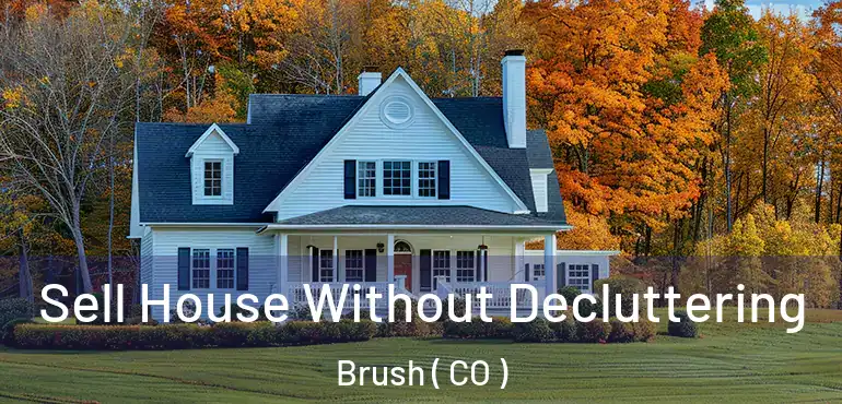  Sell House Without Decluttering Brush ( CO )