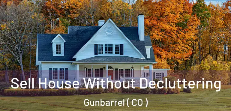  Sell House Without Decluttering Gunbarrel ( CO )