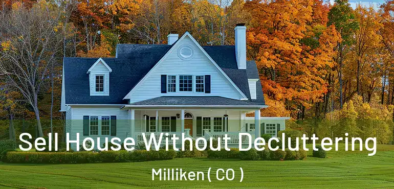  Sell House Without Decluttering Milliken ( CO )