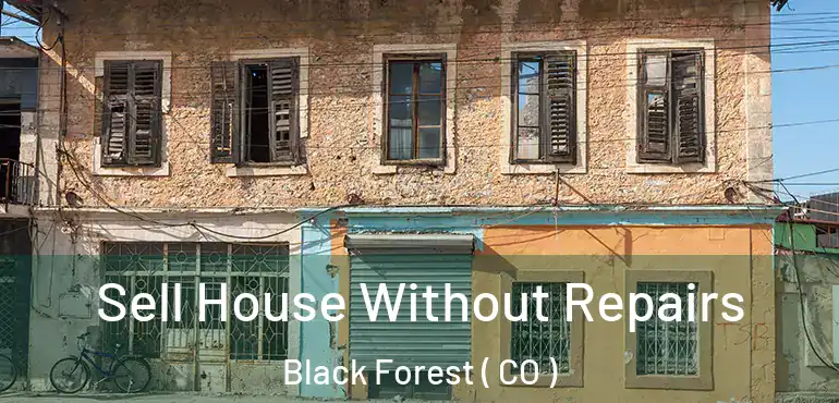  Sell House Without Repairs Black Forest ( CO )