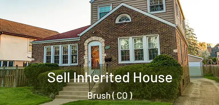  Sell Inherited House Brush ( CO )