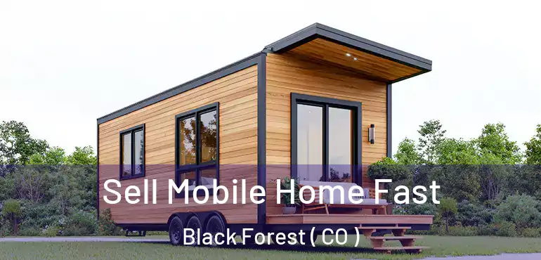  Sell Mobile Home Fast Black Forest ( CO )